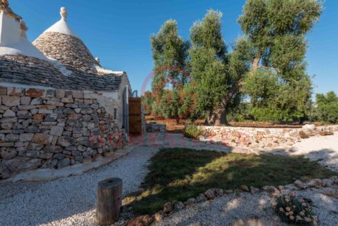 agritrullismo-degli-imperiali-francavilla-fontana-39