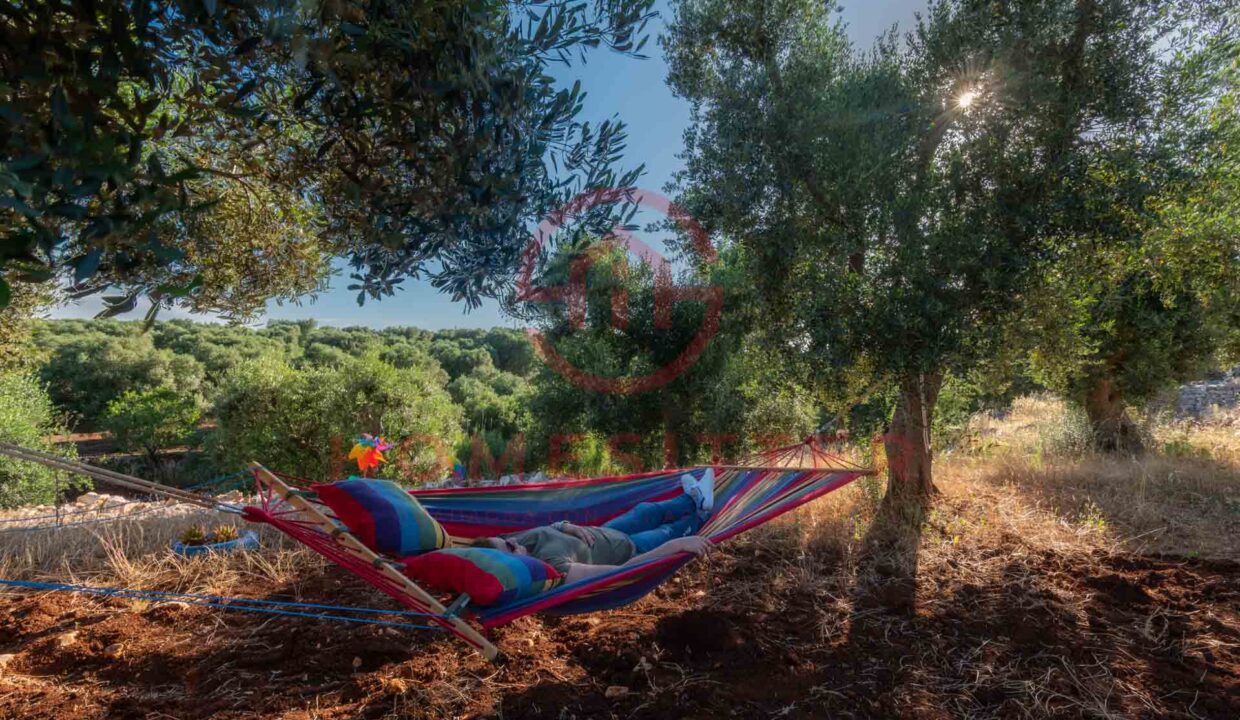 agritrullismo-degli-imperiali-francavilla-fontana-40