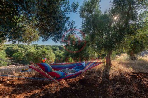 agritrullismo-degli-imperiali-francavilla-fontana-40