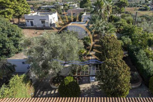 Villa Spedicati Casa Vacanza a San Pietro in Bevanga 33