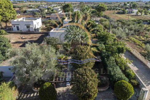 Villa Spedicati Casa Vacanza a San Pietro in Bevanga 36