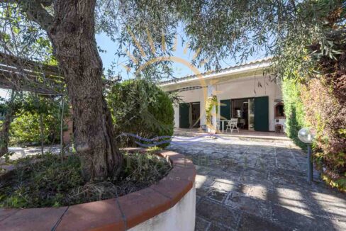 Villa Spedicati Casa Vacanza a San Pietro in Bevanga 8